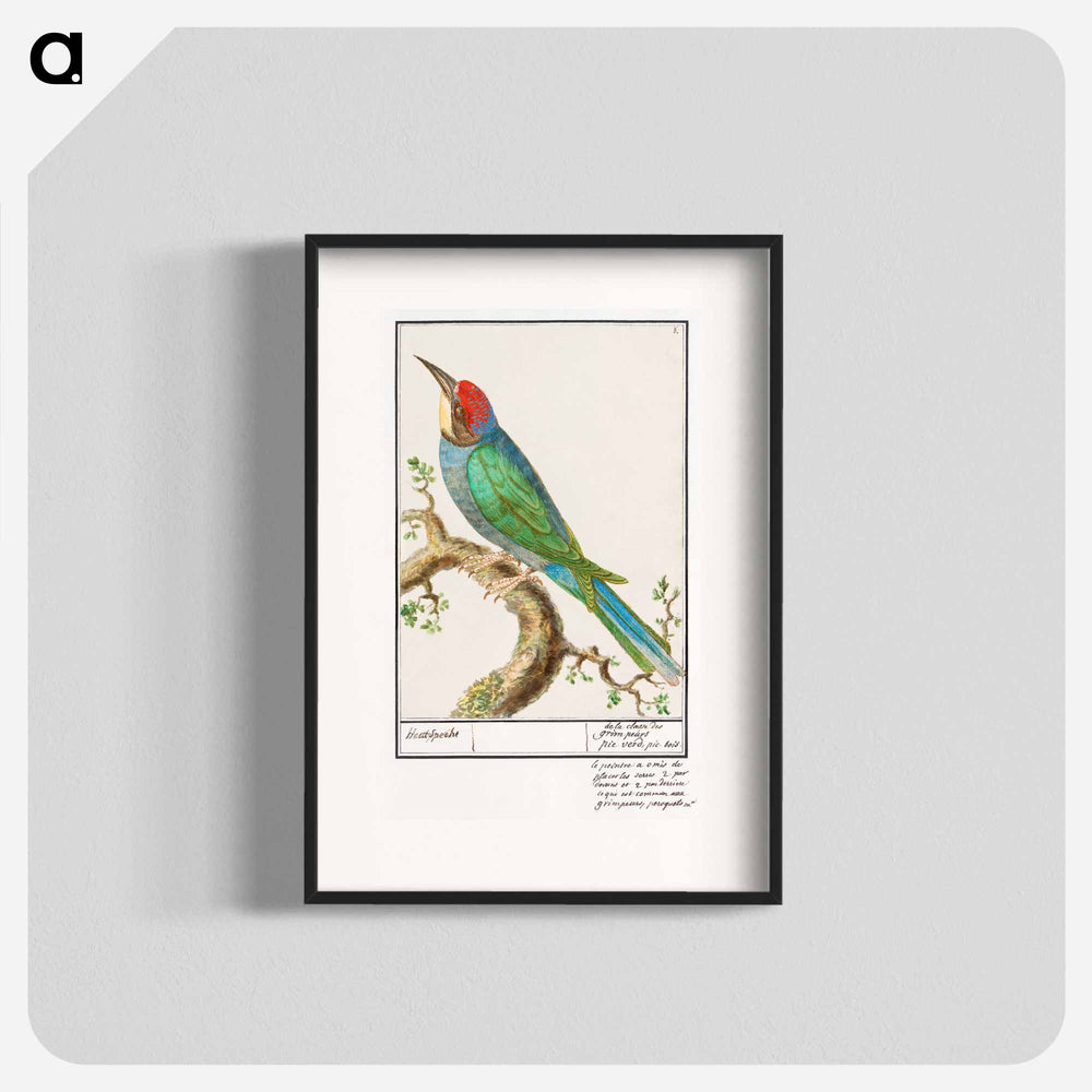 European bee-eater - アンセルムス ボエティウス デ ブート Poster.
