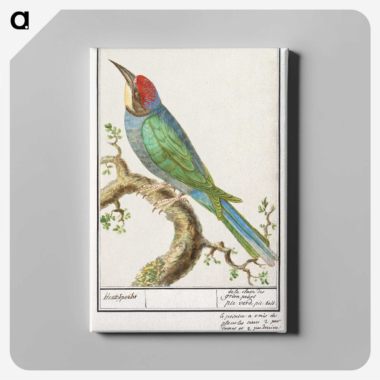 2-28_Anselmus-Boetius-de-Boodt_canvas
