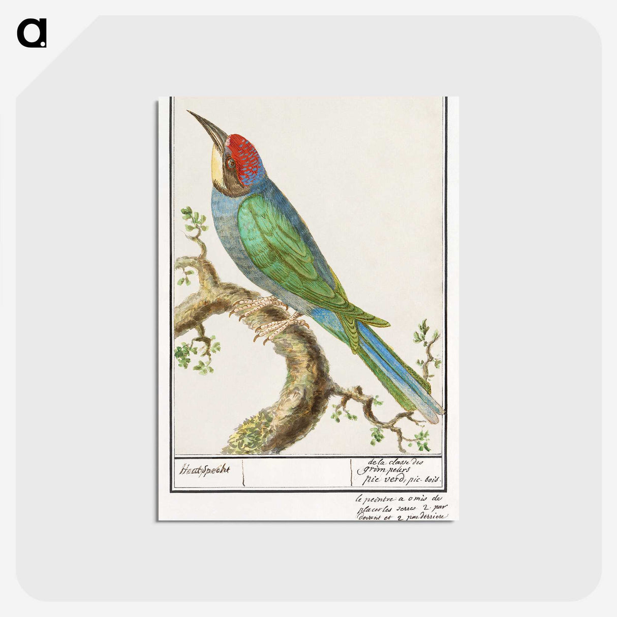 2-28_Anselmus-Boetius-de-Boodt_postcard