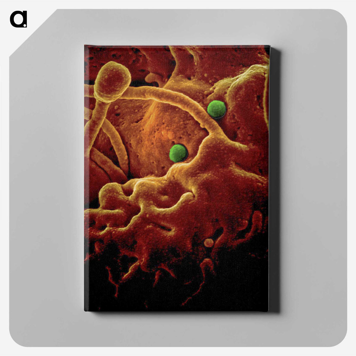 2-28_COVID-19_canvas