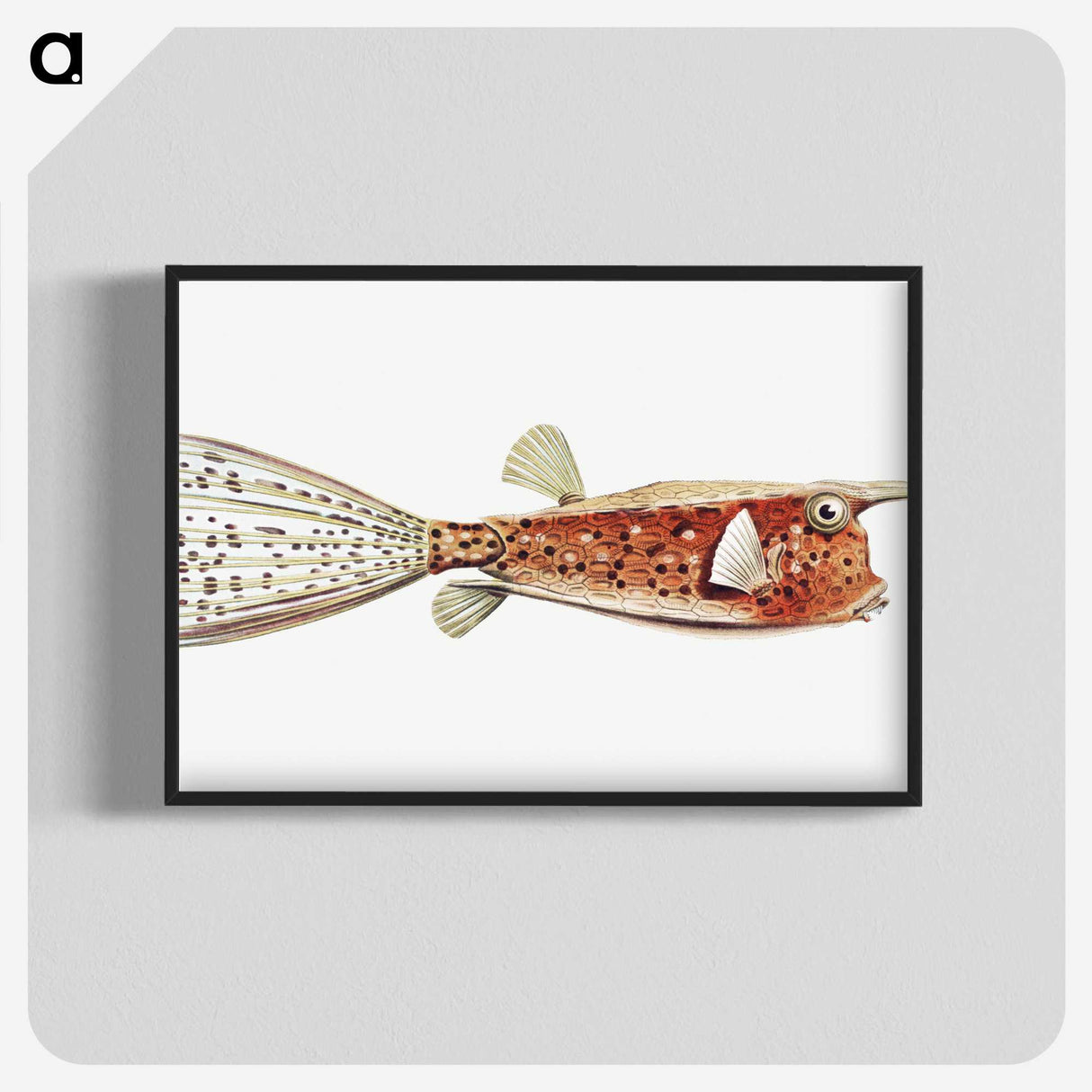 2-28_Ernst-Haeckel_blk-crop