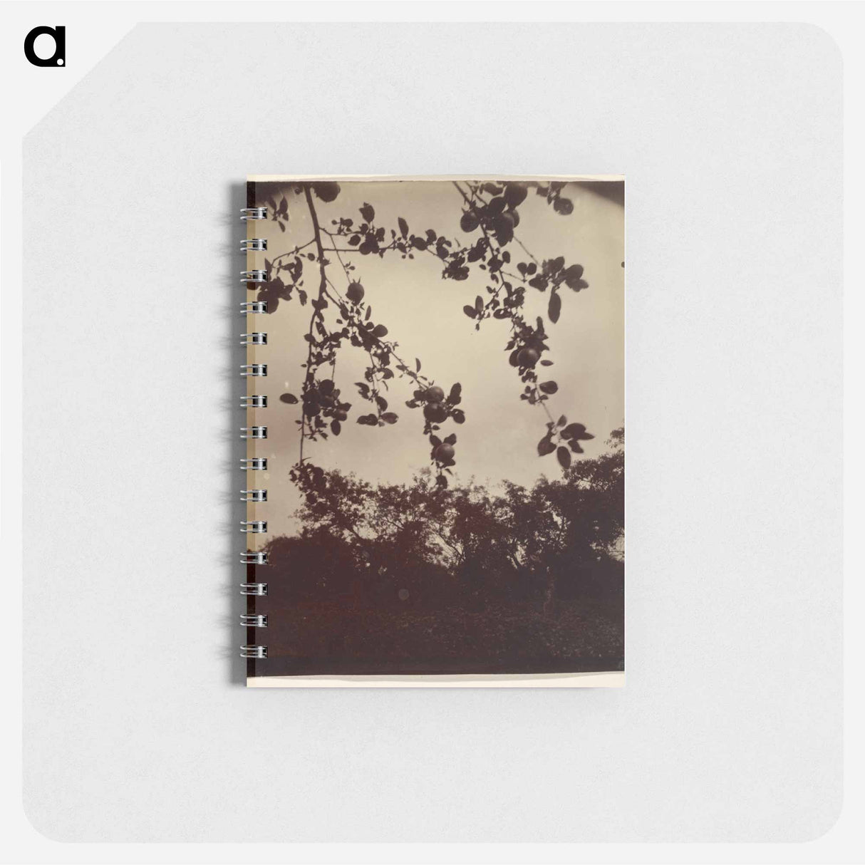 アートメモ帳-Apple Tree, Detail
- ウジェーヌ アジェ Memo.