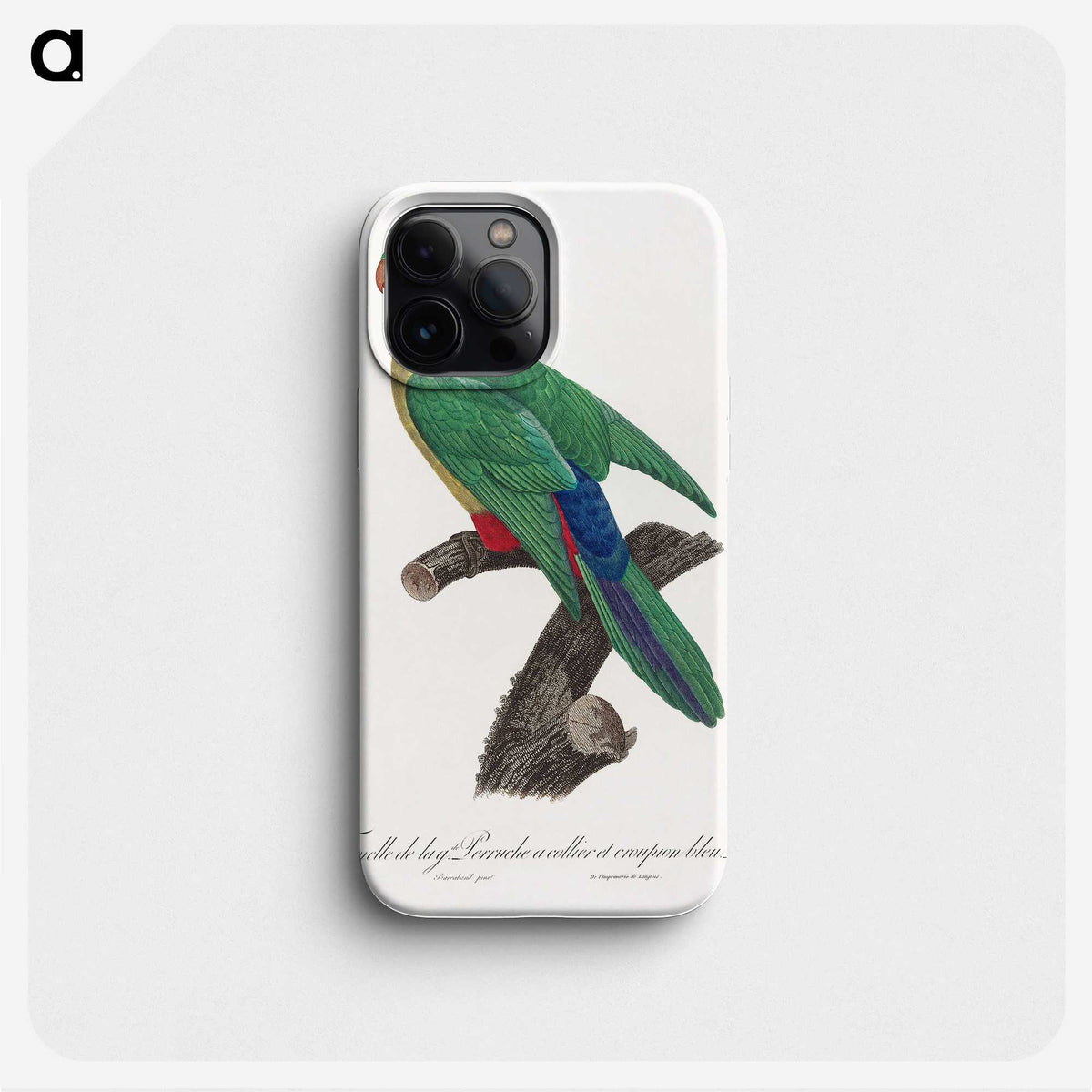 2-28_Francois-Levaillant_phone