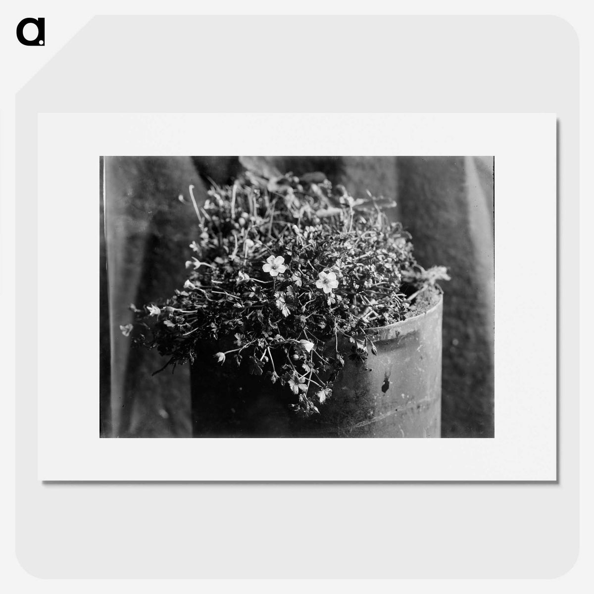 2-28_Frederick-Charles-Brockett_picture
