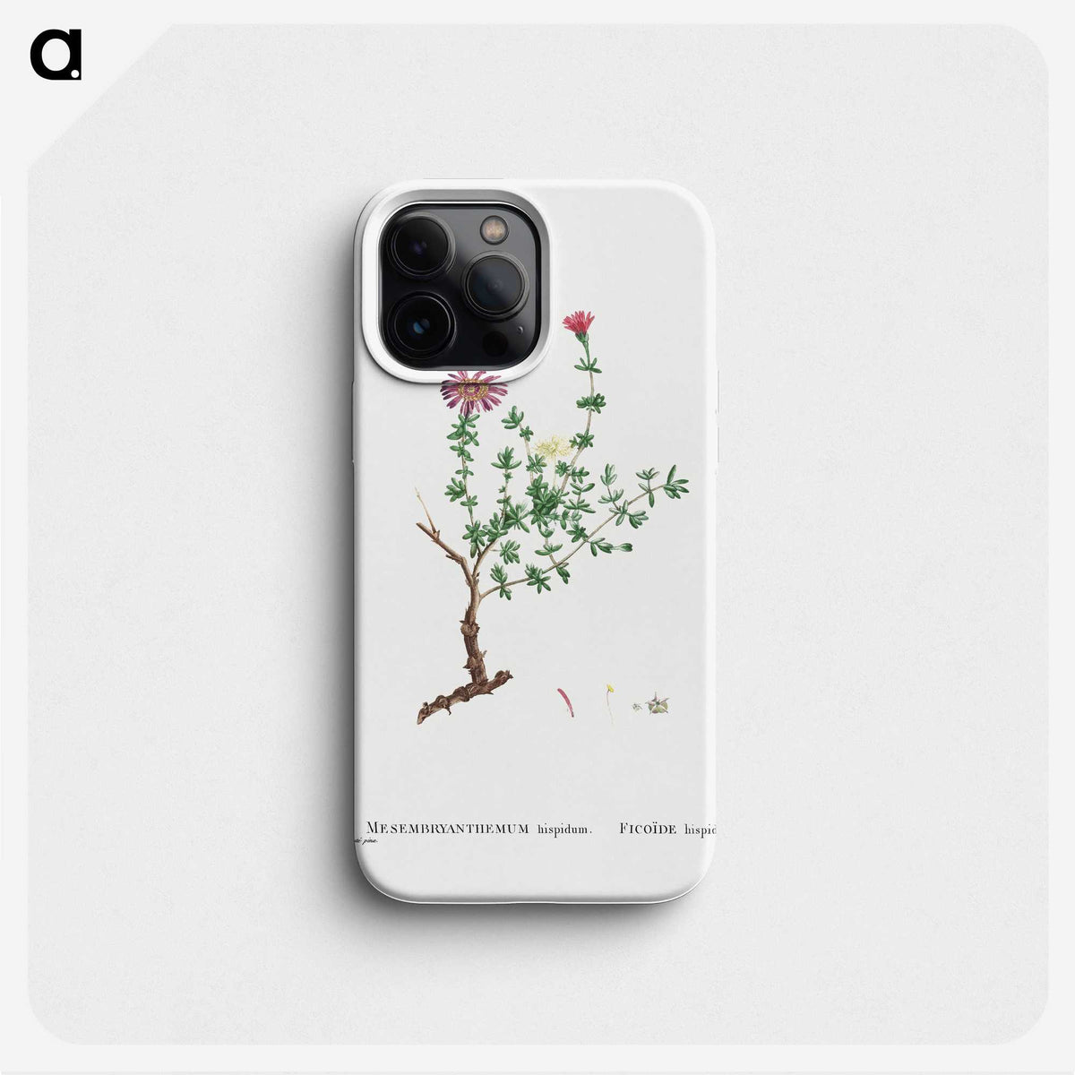 2-28_Histoire-des-Plantes-Grasses_phone