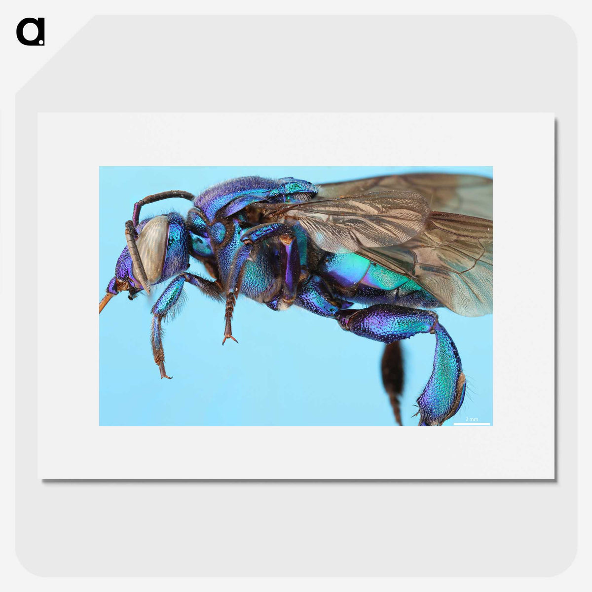 2-28_Insects-Unlocked-Project_picture
