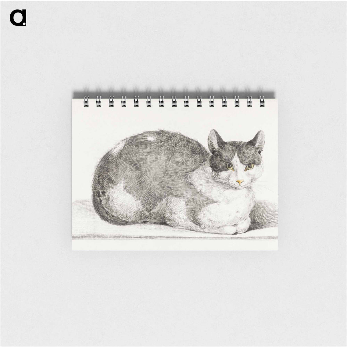 Sitting cat - ジャン ベルナール Memo.