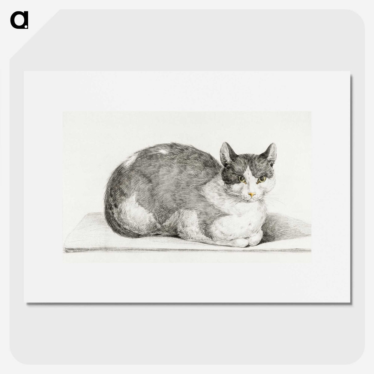 2-28_Jean-Bernard_picture