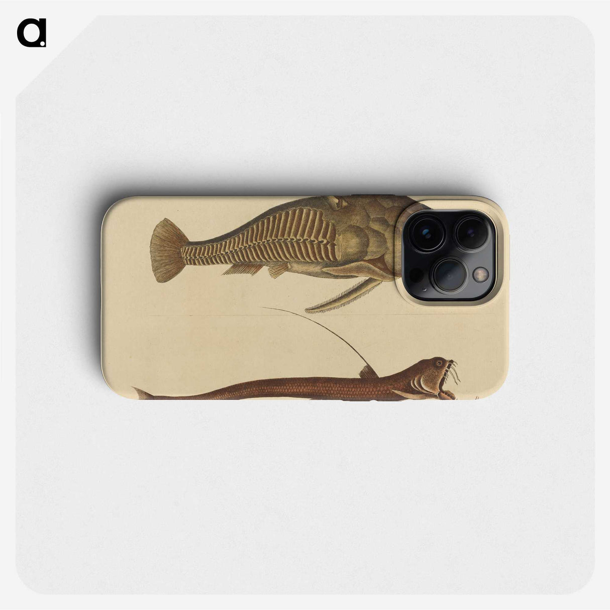2-28_Mark-Catesby_phone