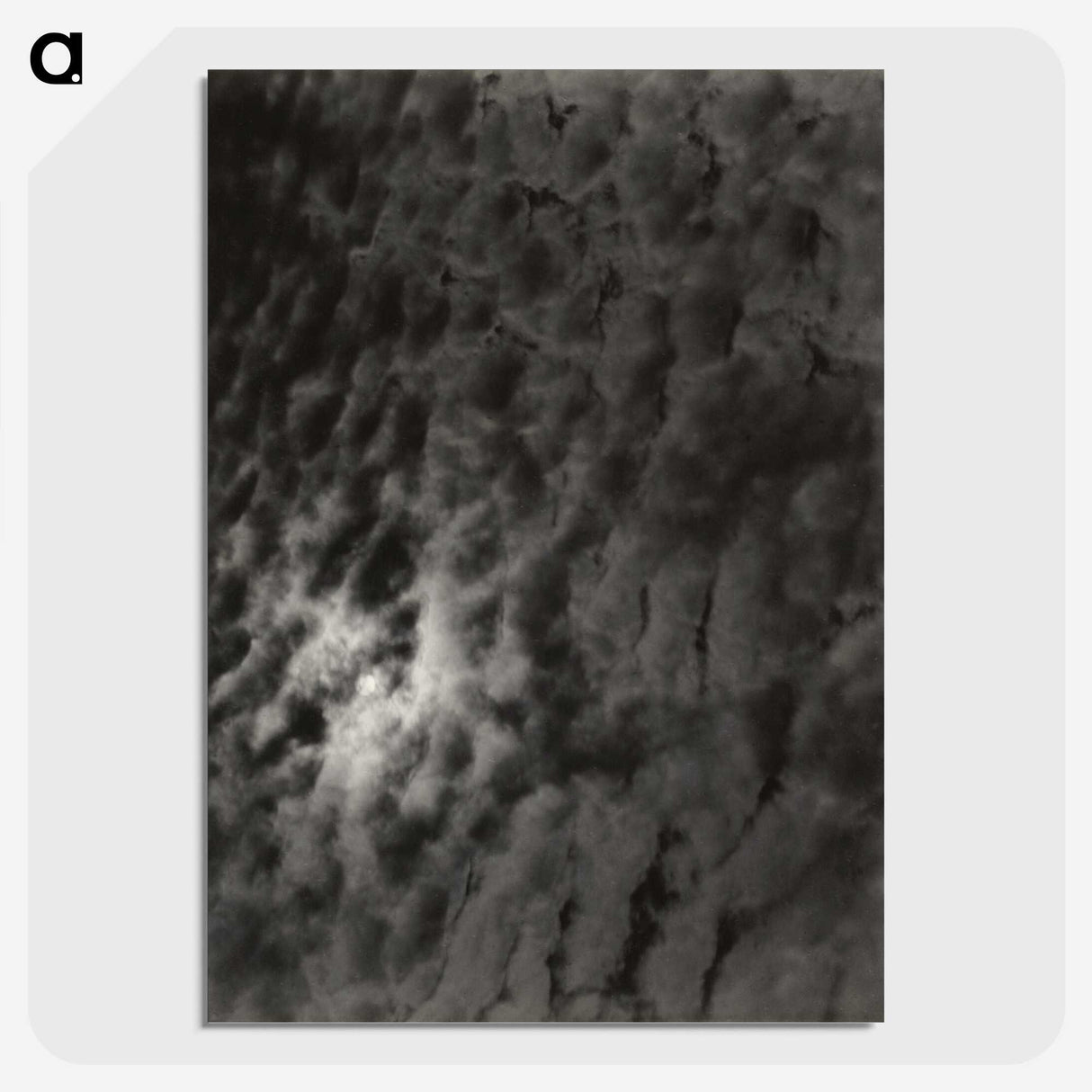 2-29_Alfred-Stieglitz_picture-crop