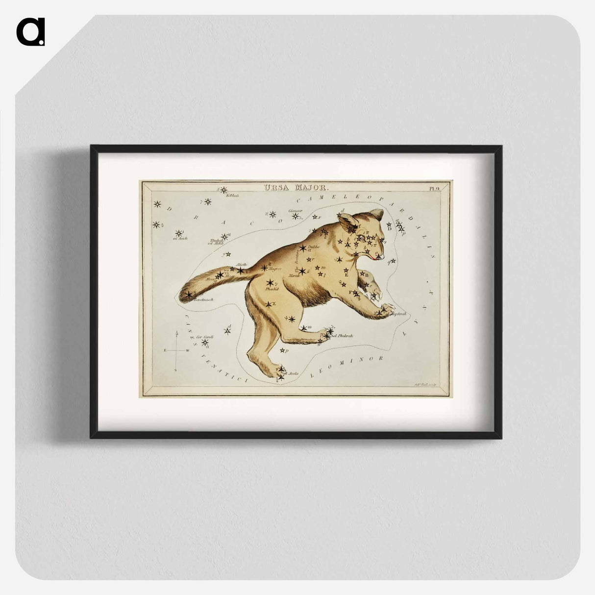 Sidney Hall’s astronomical chart illustration of the Ursa Major - アンティーク地図 Poster.