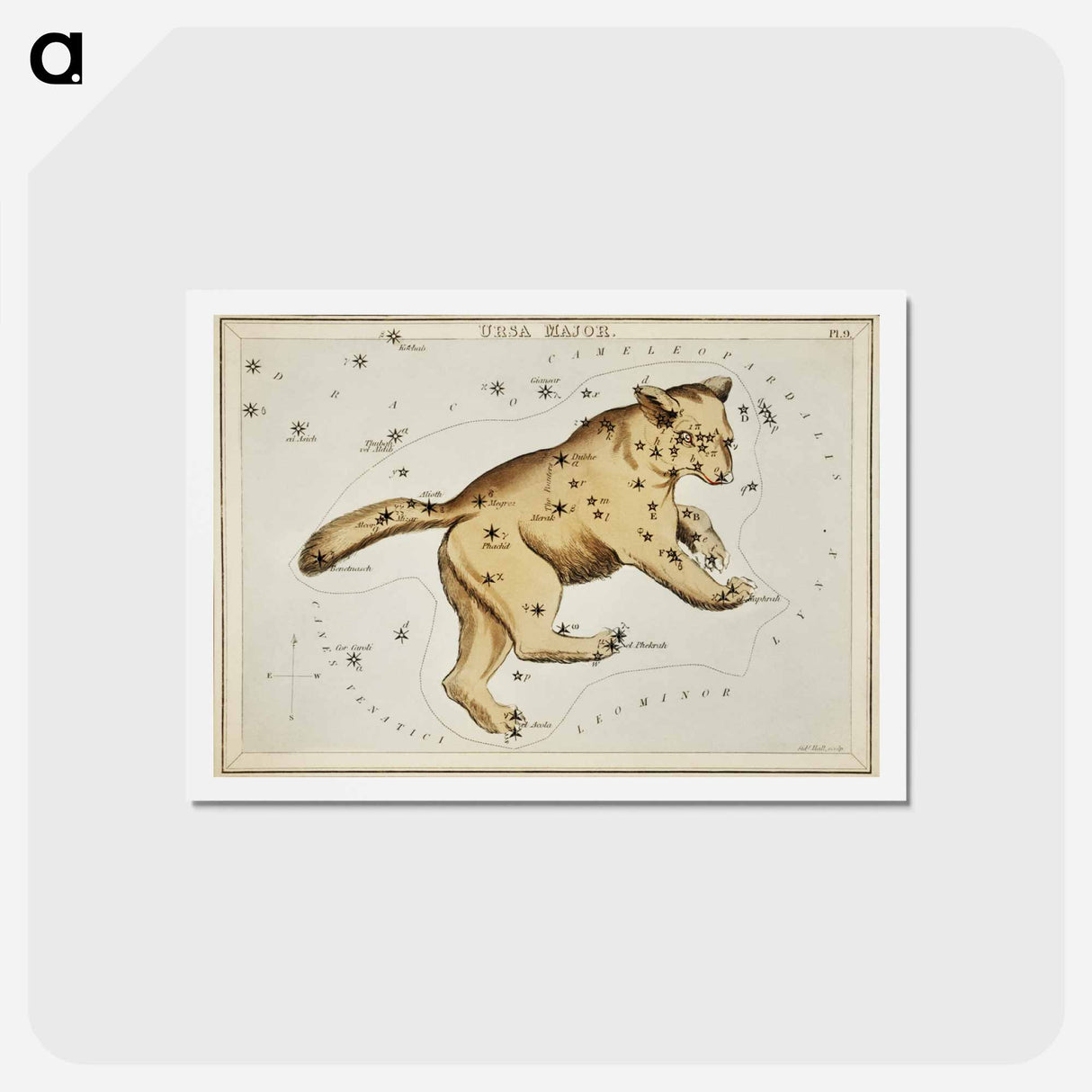 アートポストカード-Sidney Hall’s astronomical chart illustration of the Ursa Major - アンティーク地図 Postcard.