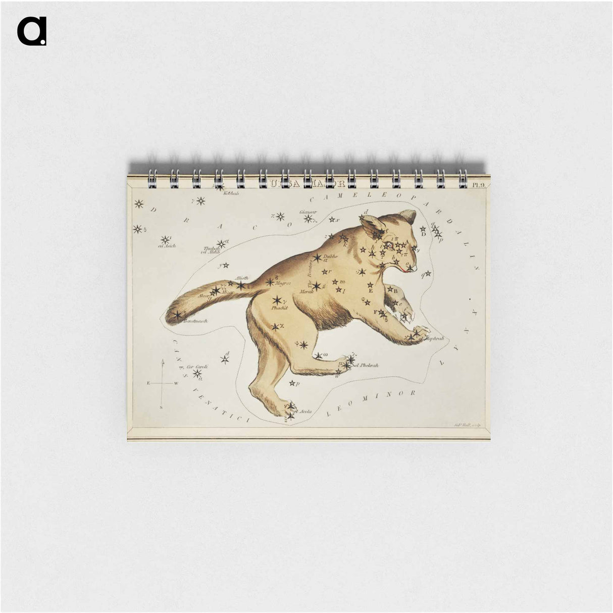 Sidney Hall’s astronomical chart illustration of the Ursa Major - アンティーク地図 Memo.