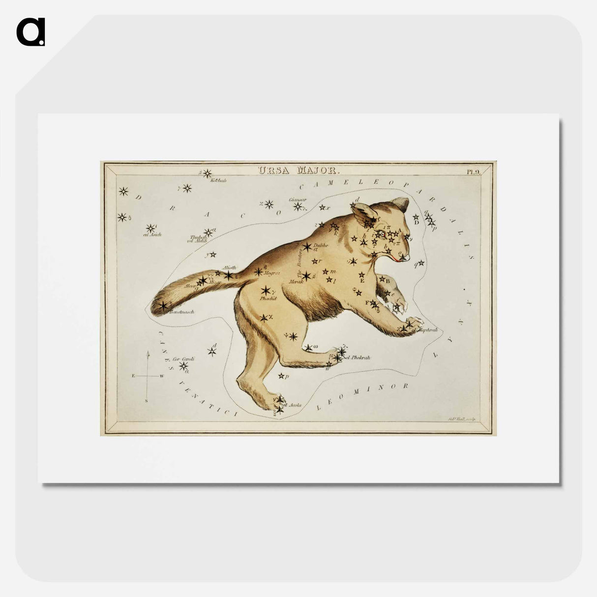 Sidney Hall’s astronomical chart illustration of the Ursa Major - アンティーク地図 Poster.