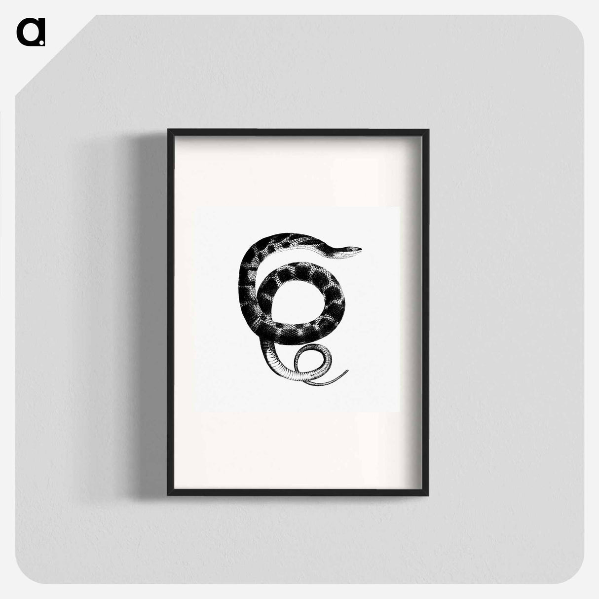 アートポスター-Plain-bellied Water Snake
- 大英図書館 Poster.