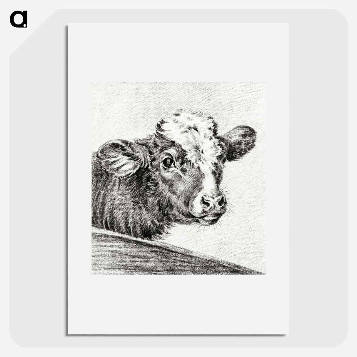 2-29_Jean-Bernard_picture