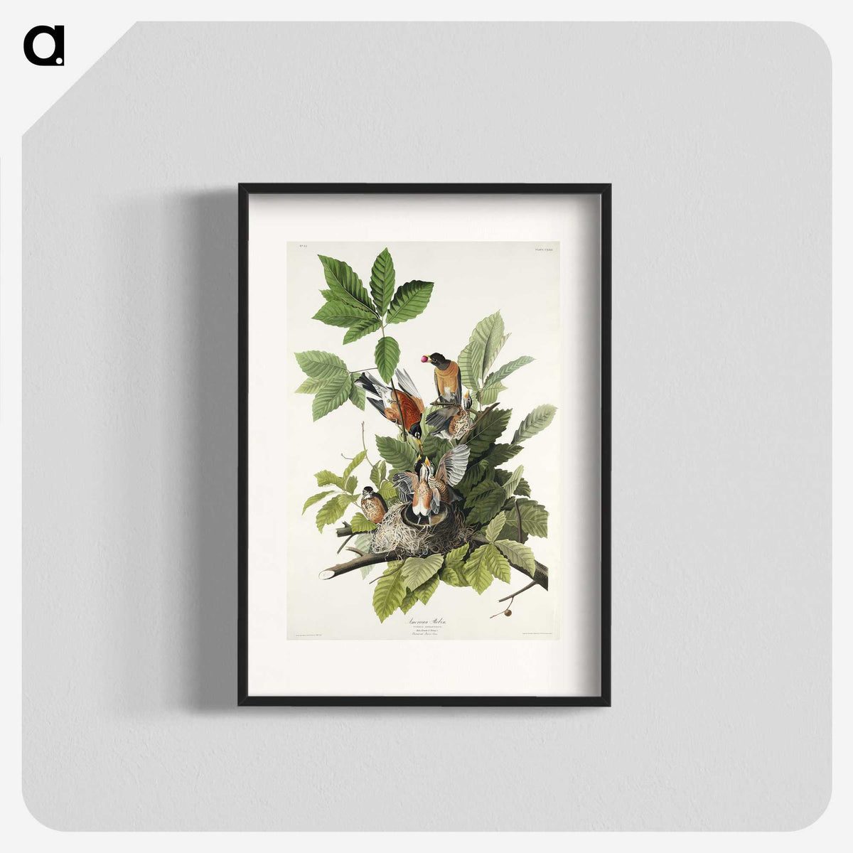 2-29_John-James-Audubon_blk