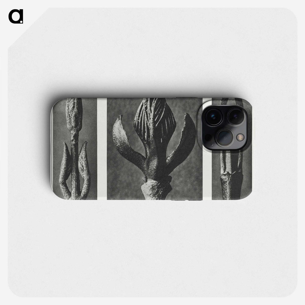 2-29_Karl-Blossfeldt_phone
