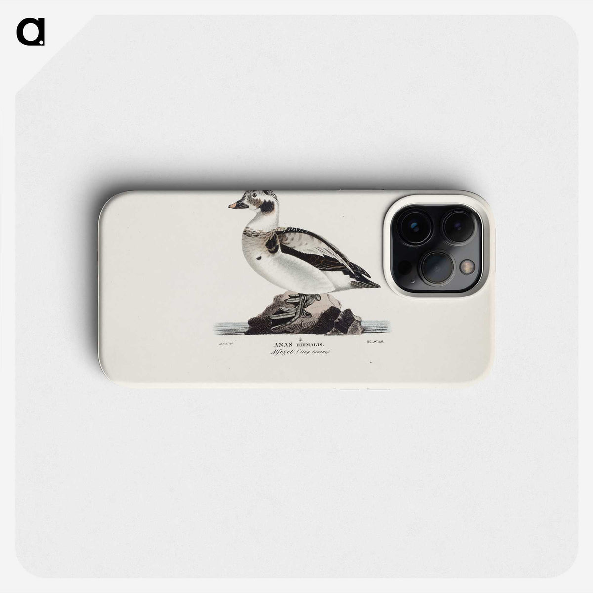 2-29_Magnus-von-Wright_phone