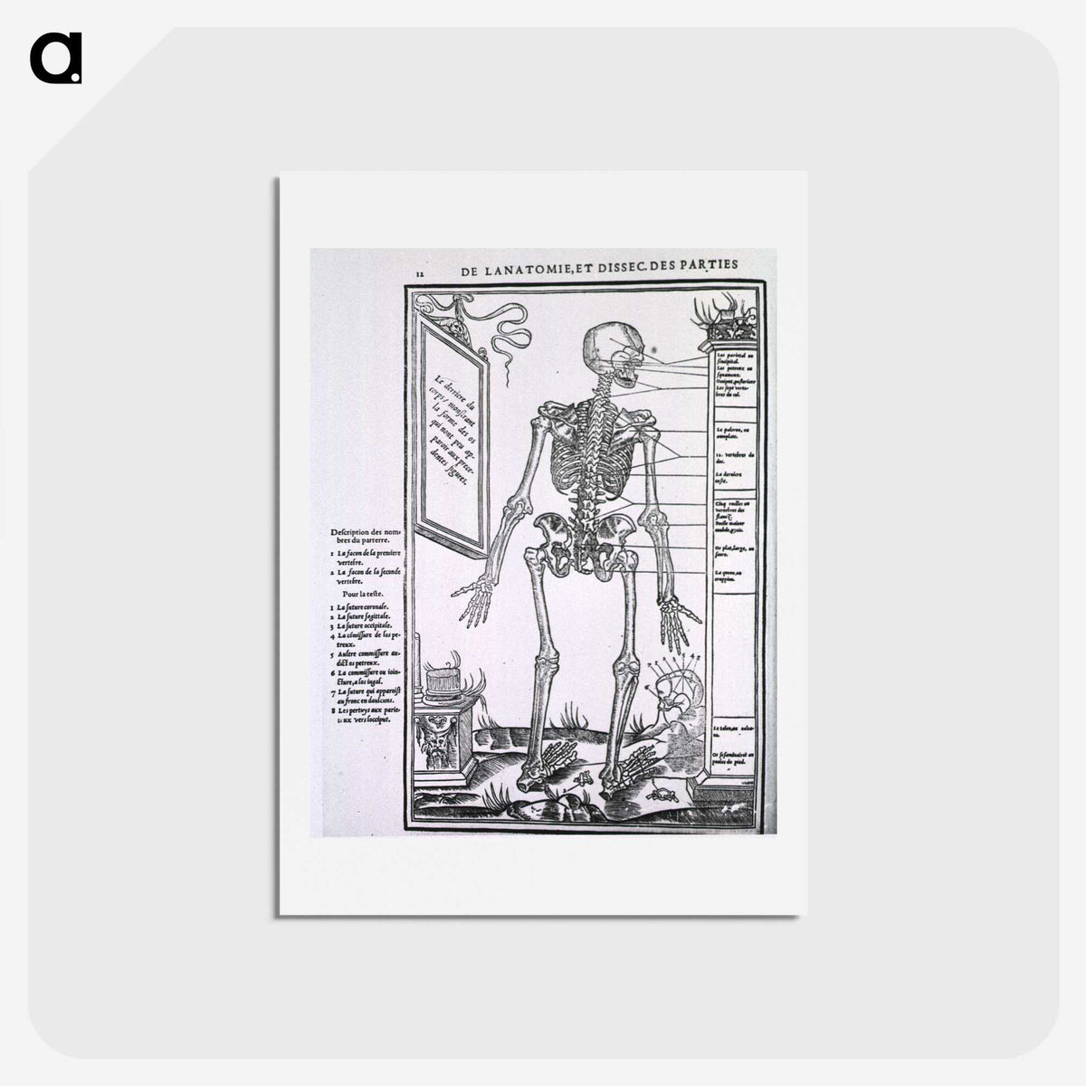 2-29_National-Library-of-Medicine_hagaki