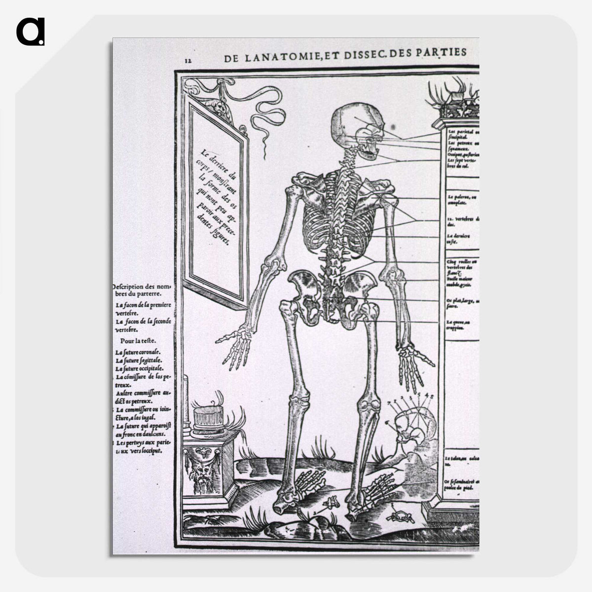 2-29_National-Library-of-Medicine_picture-crop