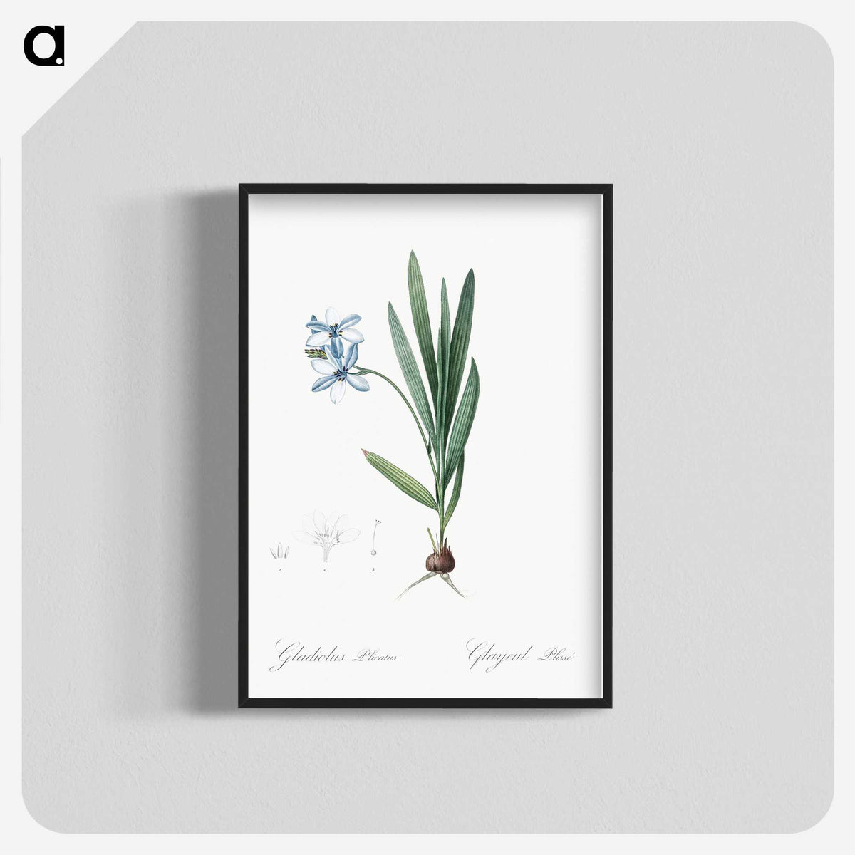 2-29_The-Lilies_blk-crop