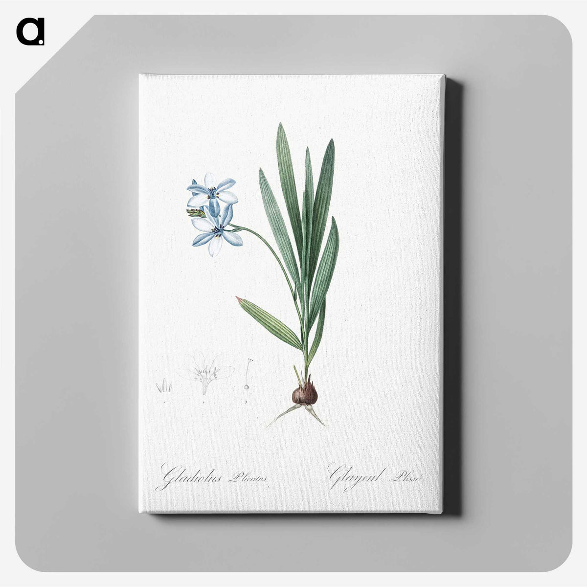 2-29_The-Lilies_canvas
