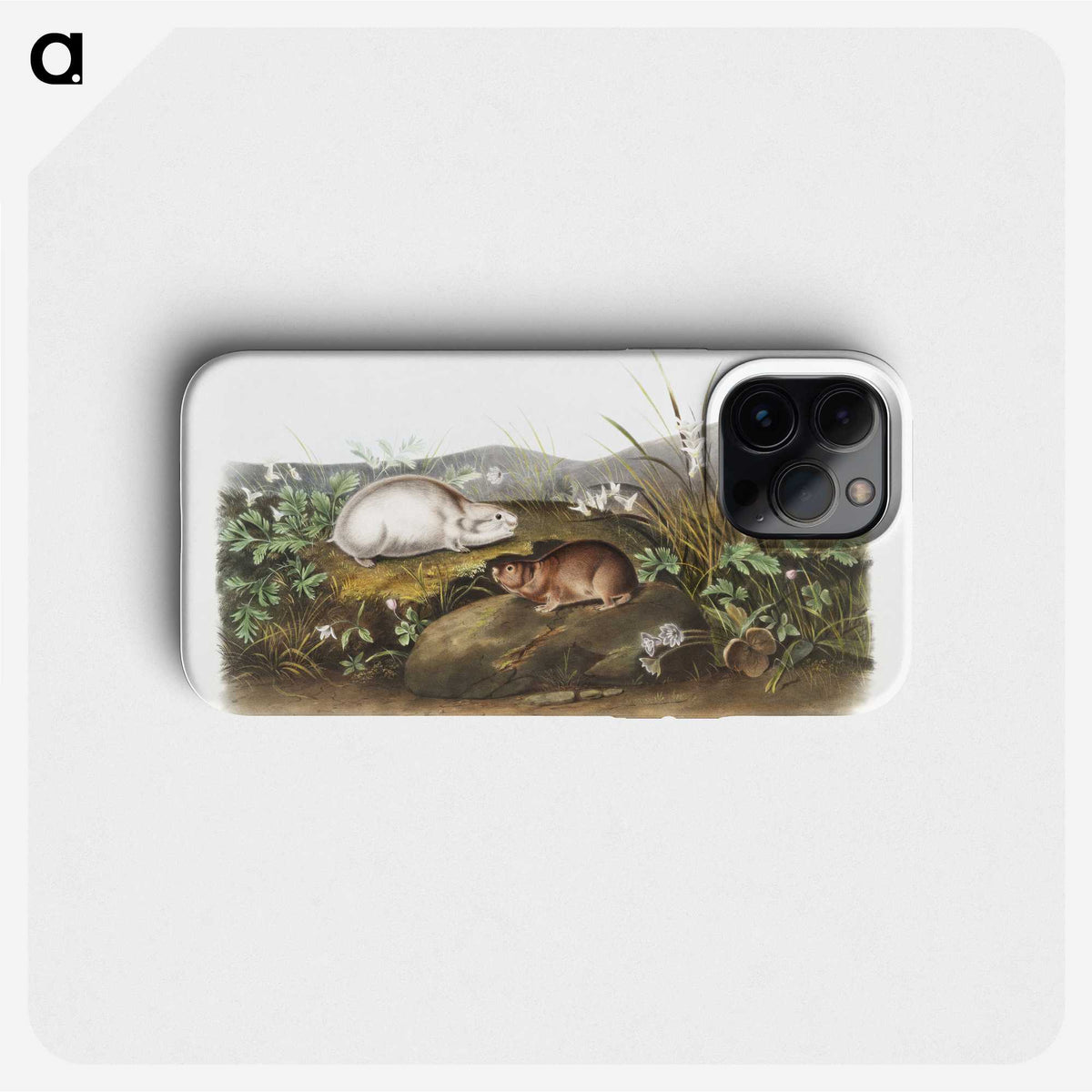 2-29_The-Viviparous-Quadrupeds_phone