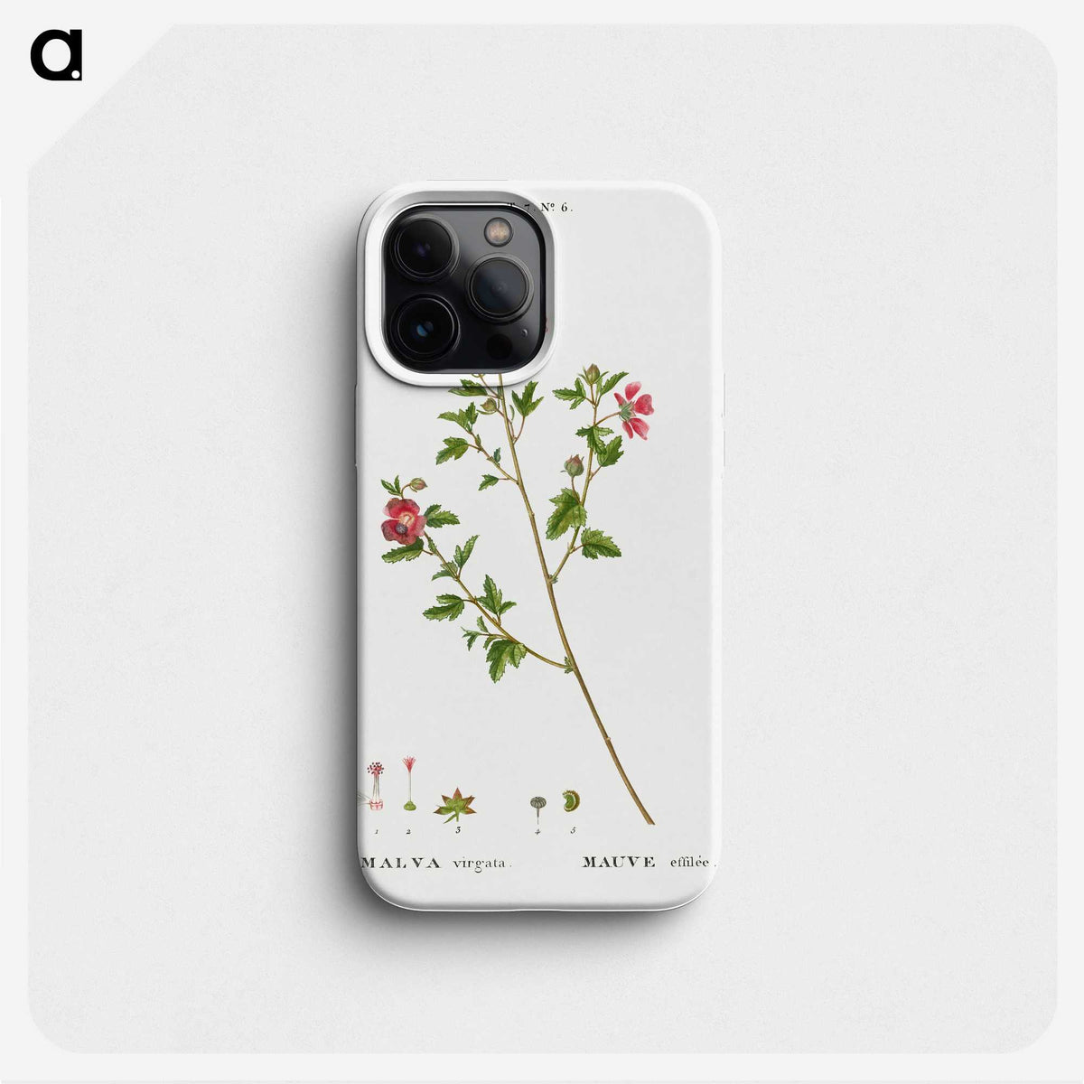 2-29_Treatise-on-Trees-and-Shrubs_phone
