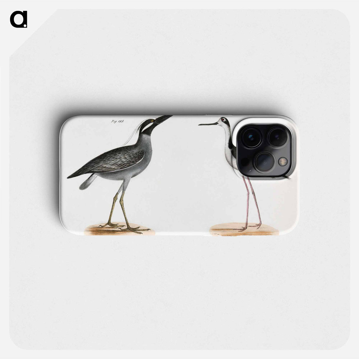 Yellow-crowned Night Heron (Ardea violacea) Lawyer (Himantopus nigricollis) illustration from Zoology of New York by - Zoology of New York Phone Case.