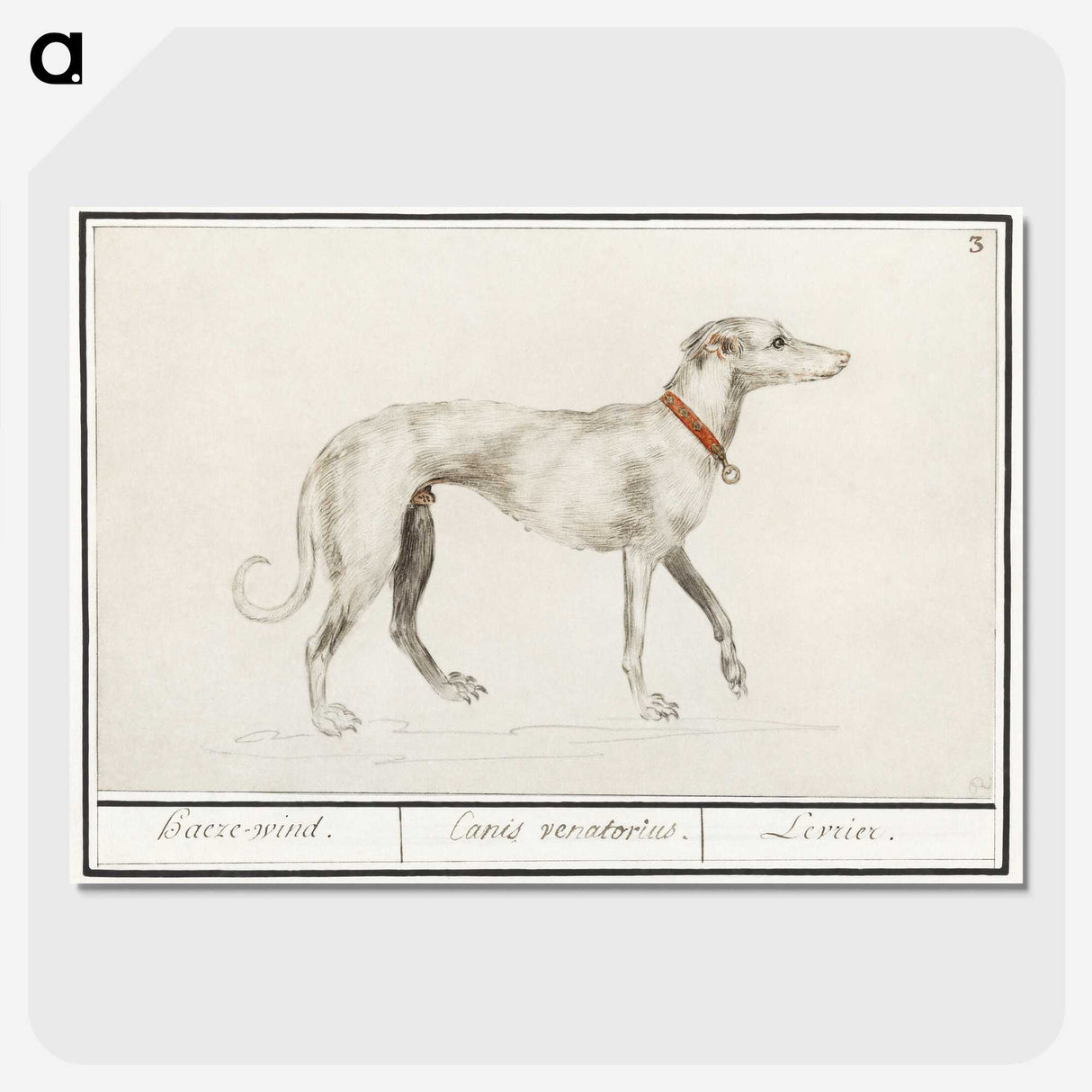 2-2_Anselmus-Boetius-de-Boodt_picture-crop