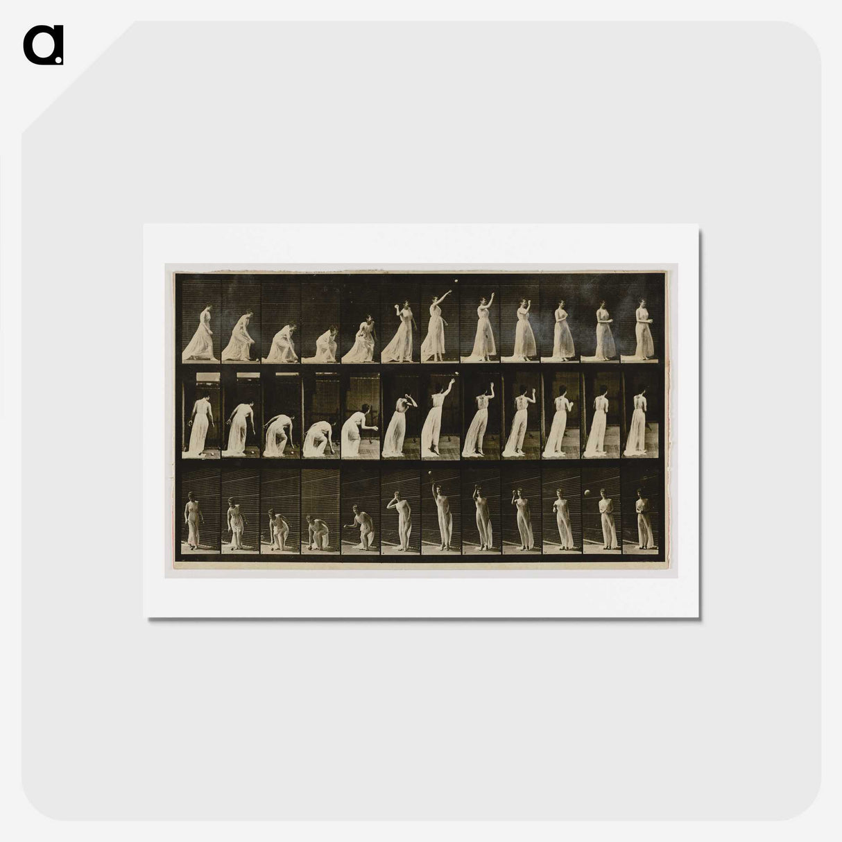 2-2_Eadweard-Muybridge_hagaki