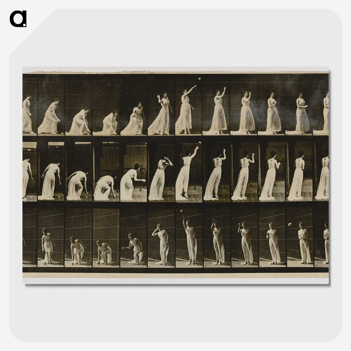 2-2_Eadweard-Muybridge_picture-crop