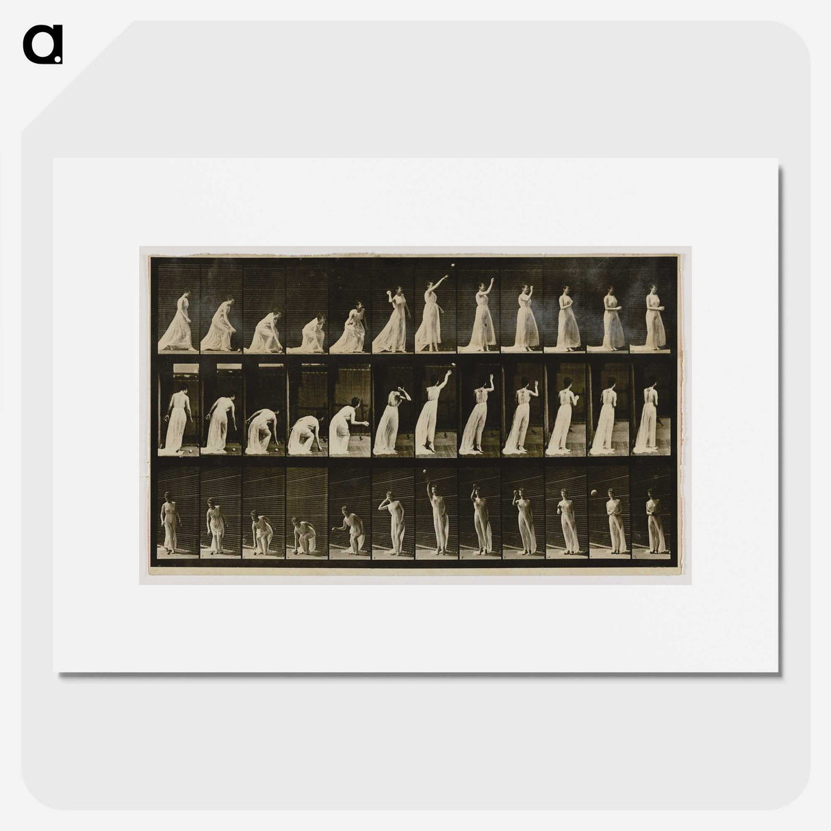 2-2_Eadweard-Muybridge_picture
