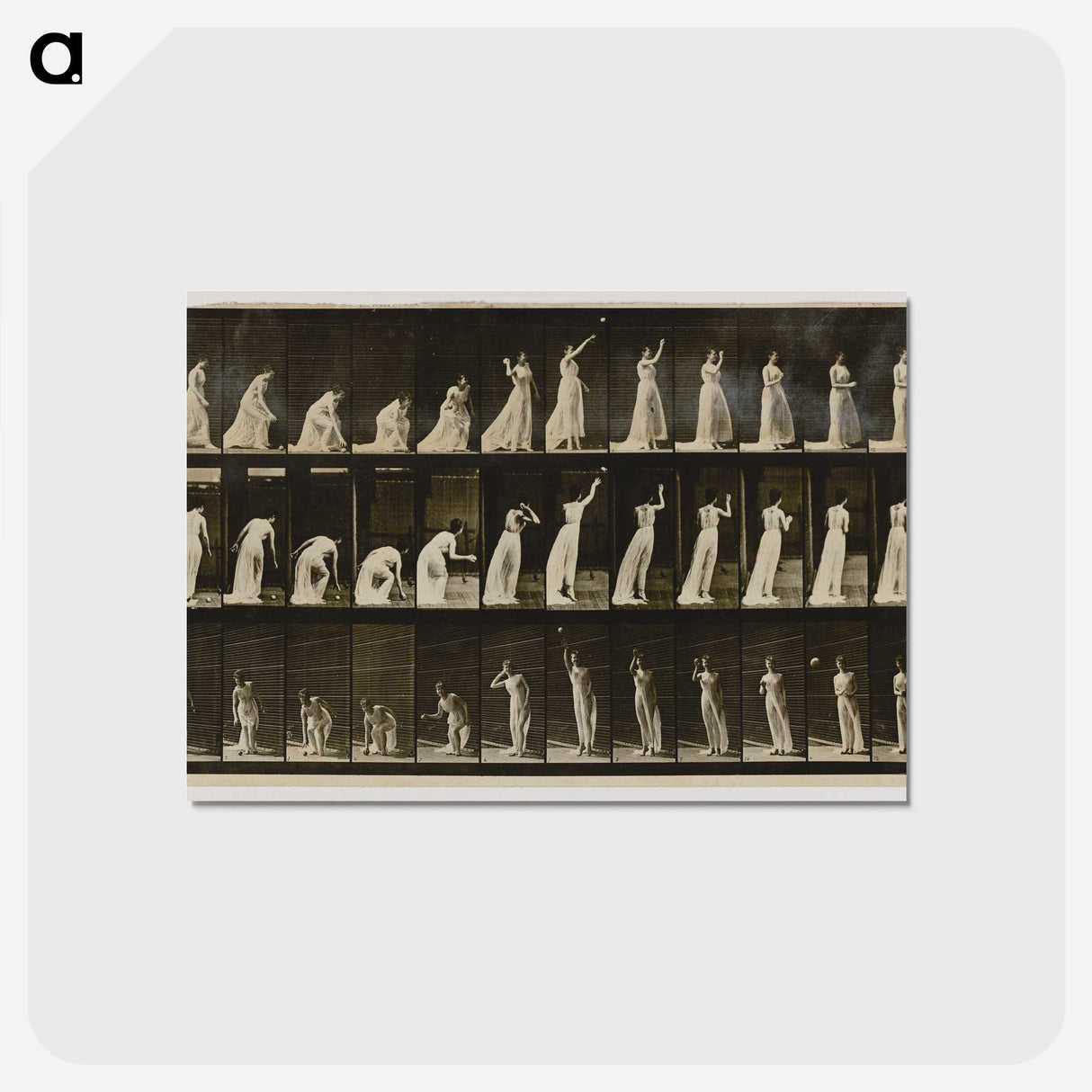2-2_Eadweard-Muybridge_postcard
