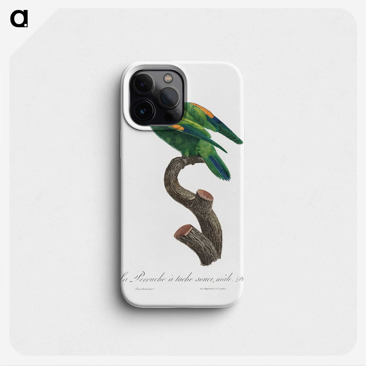2-2_Francois-Levaillant_phone