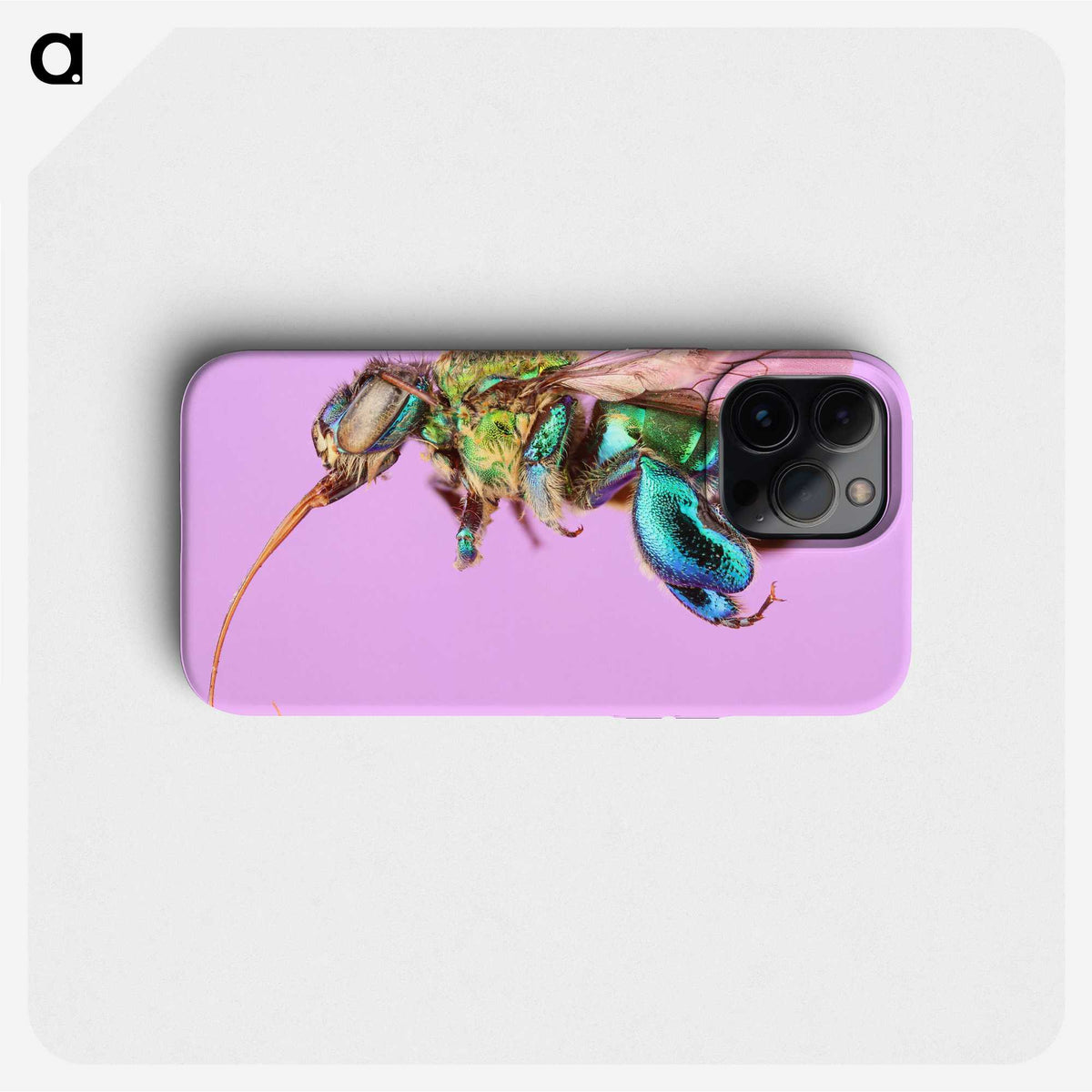 2-2_Insects-Unlocked-Project_phone