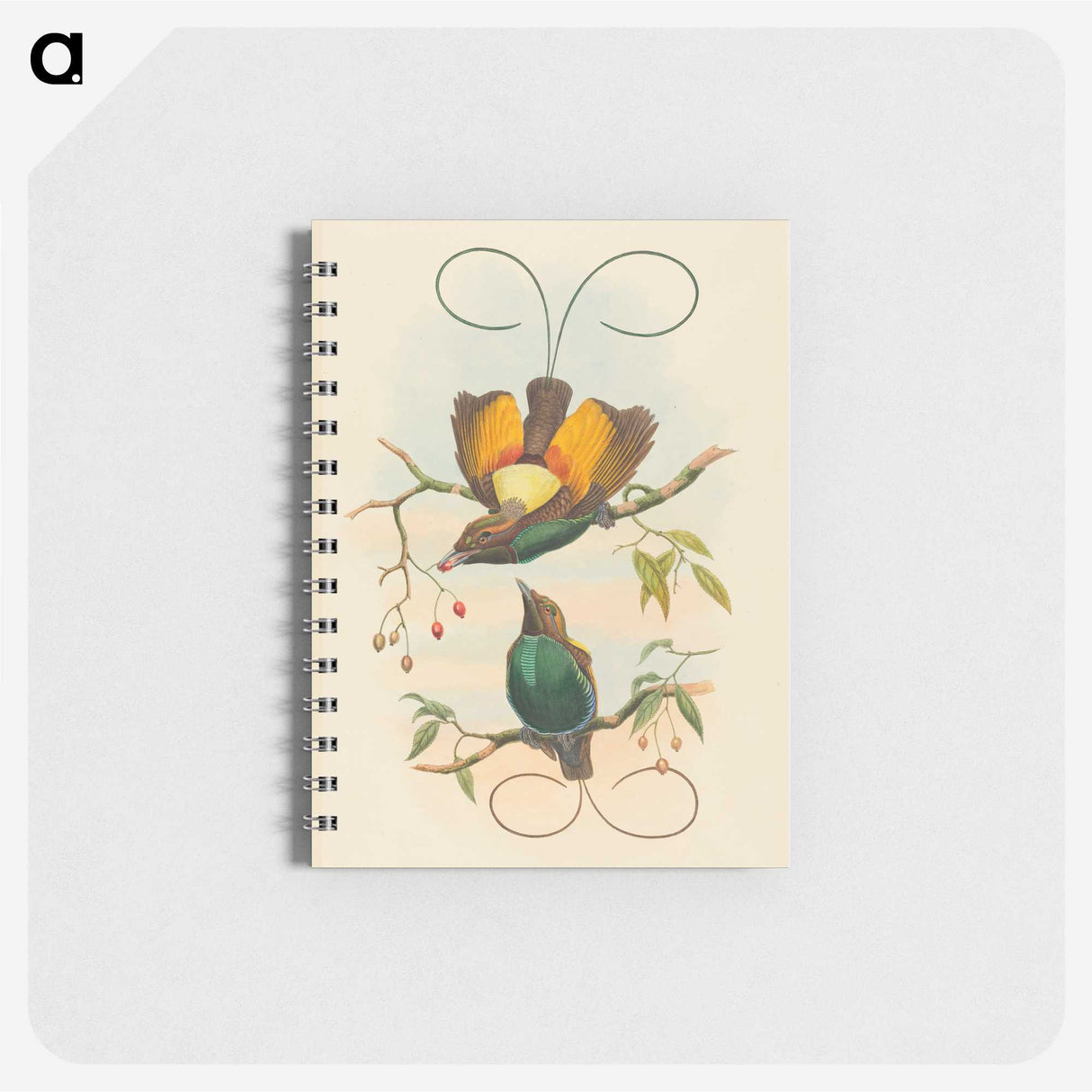 2-2_John-Gould_memo