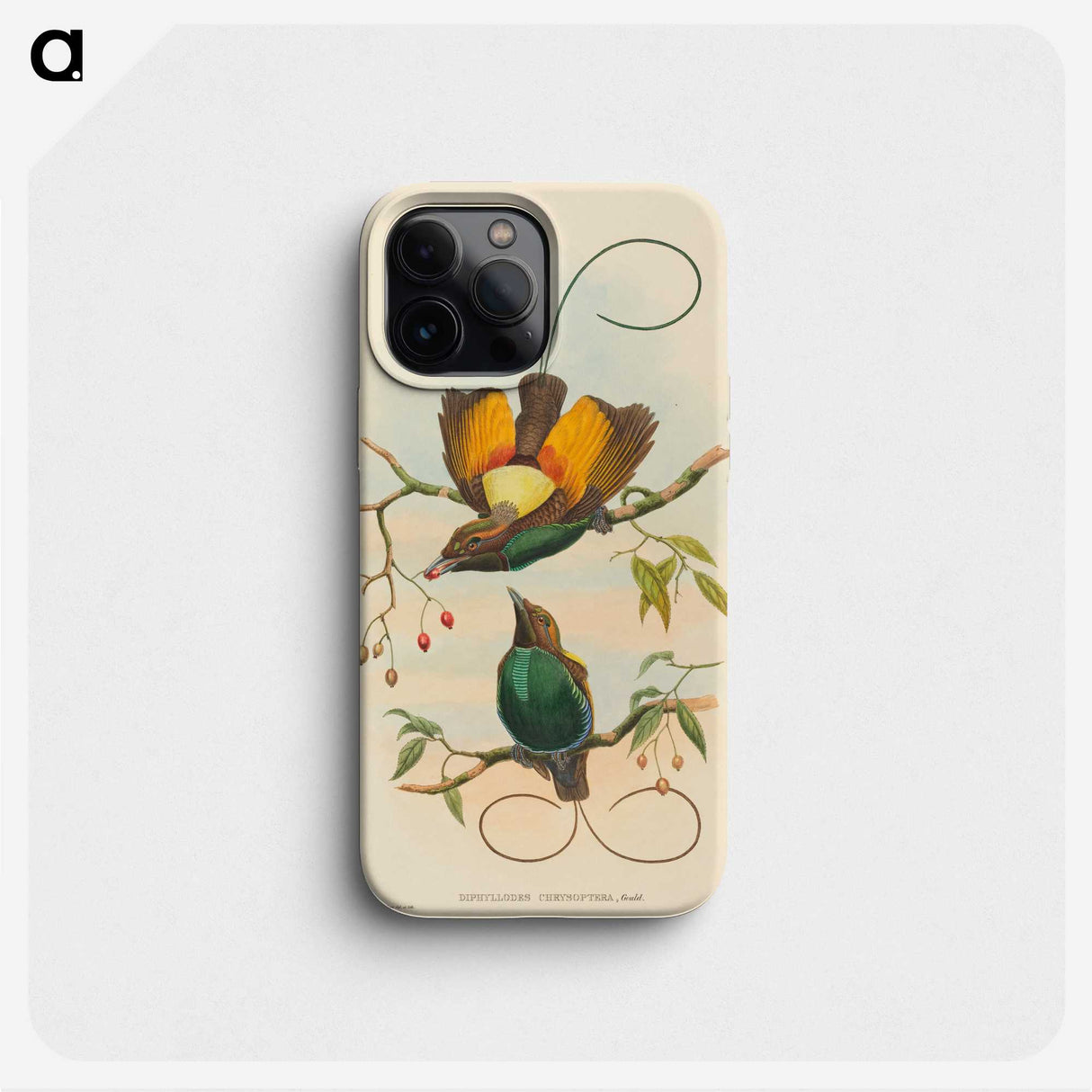 2-2_John-Gould_phone