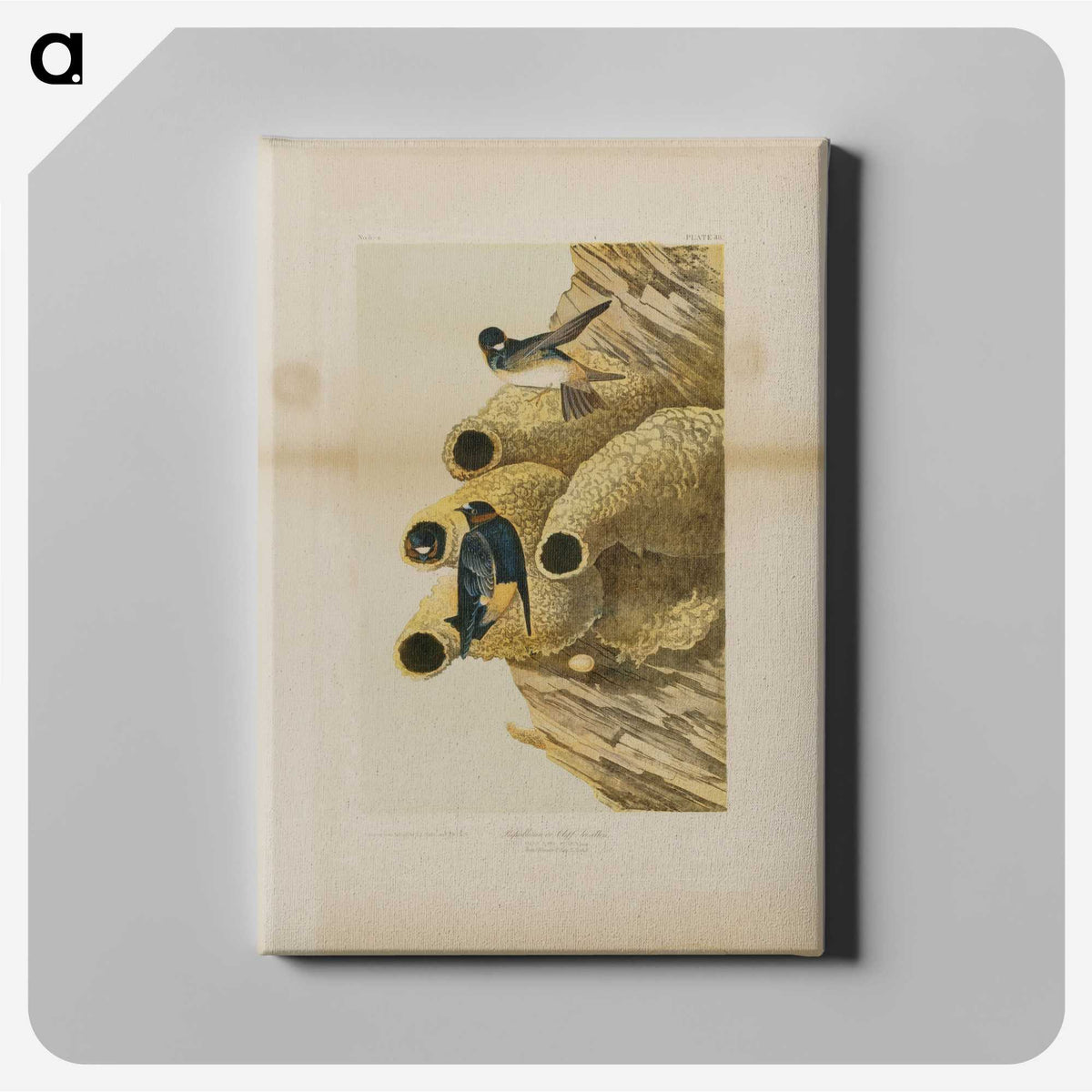 2-2_John-James-Audubon_canvas