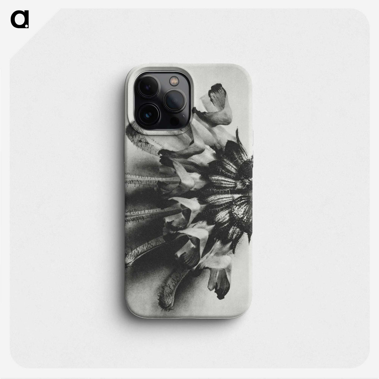 2-2_Karl-Blossfeldt_phone