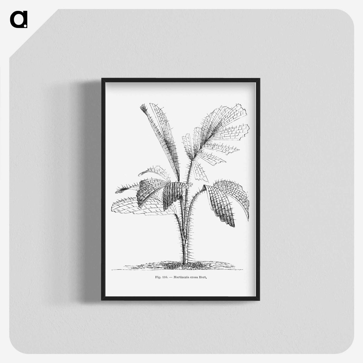 2-2_Les-Palmiers-Histoire-Iconographique_blk-crop