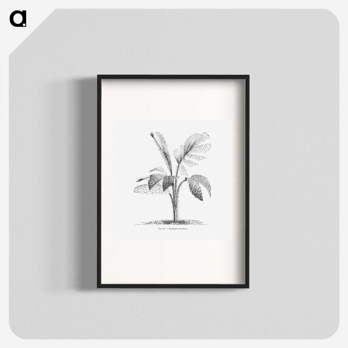2-2_Les-Palmiers-Histoire-Iconographique_blk