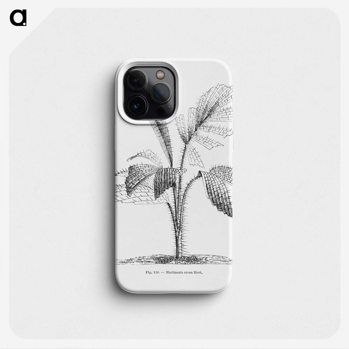 2-2_Les-Palmiers-Histoire-Iconographique_phone