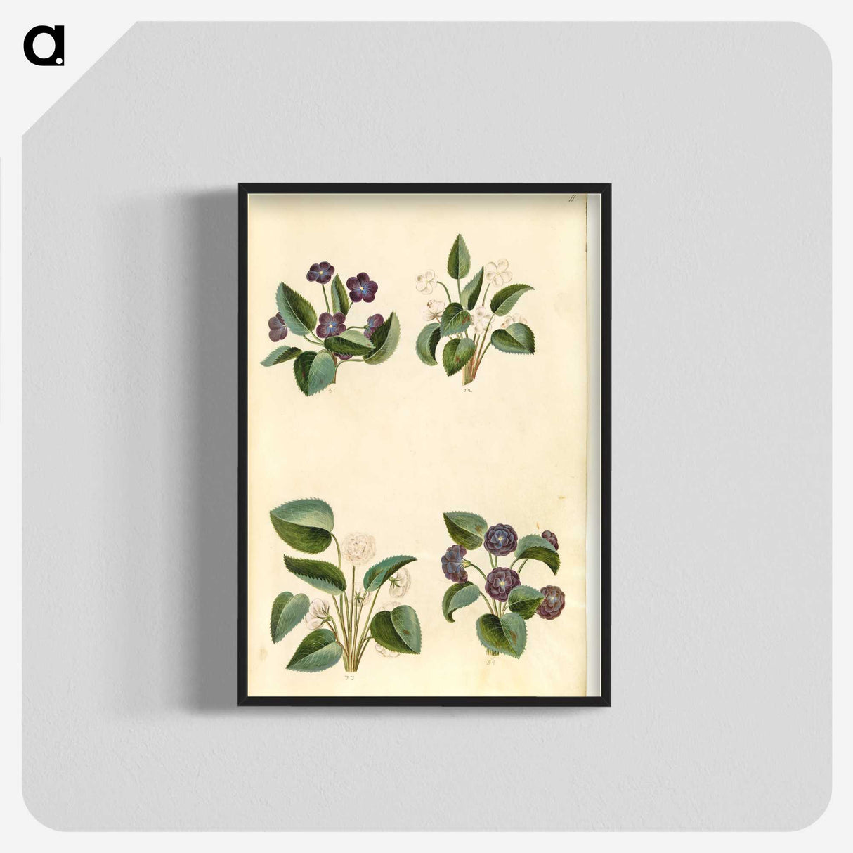 2-2_Maria-Sibylla-Merian_blk-crop