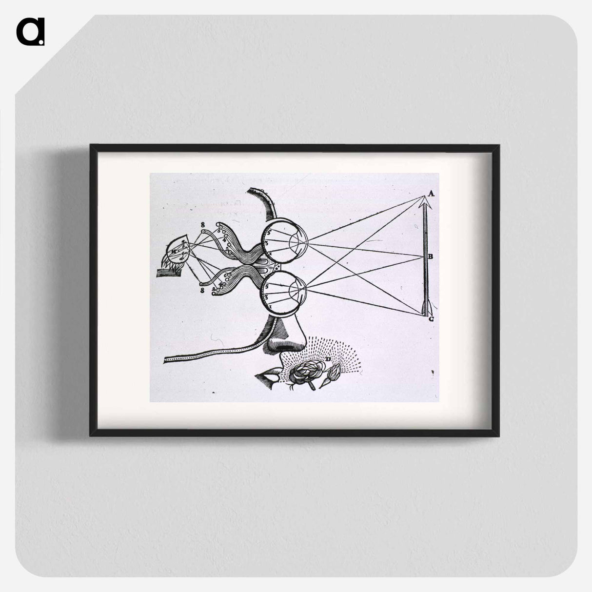アートポスター-Vision and Visual Perception
- 国立医学図書館 Poster.