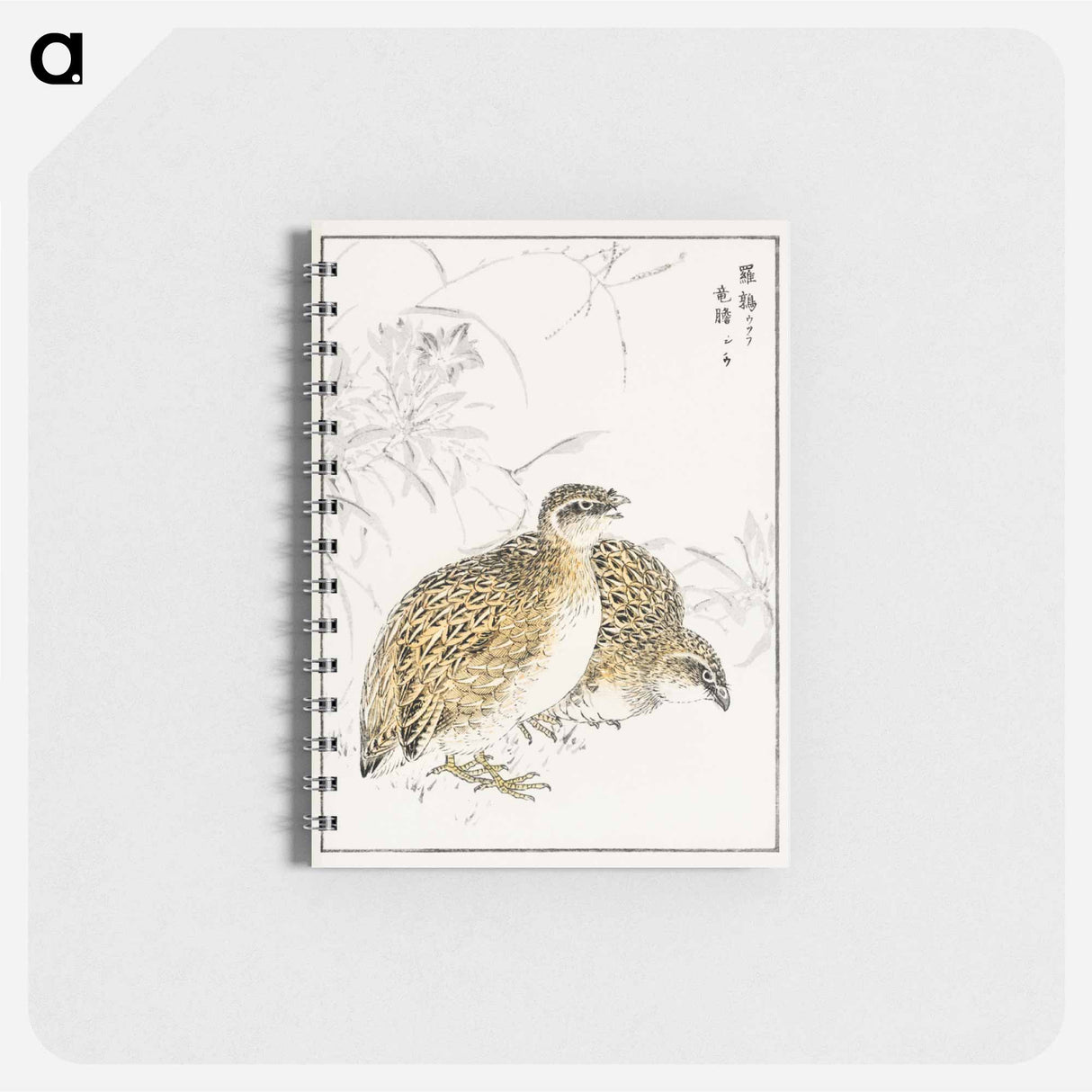 アートメモ帳-Japanese Quail and Gentian
- 鳥類図鑑 Memo.