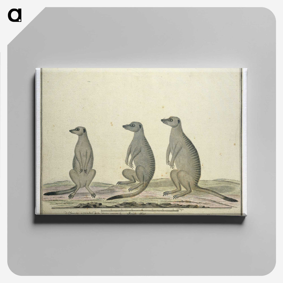 2-2_Robert-Jacob-Gordon_canvas