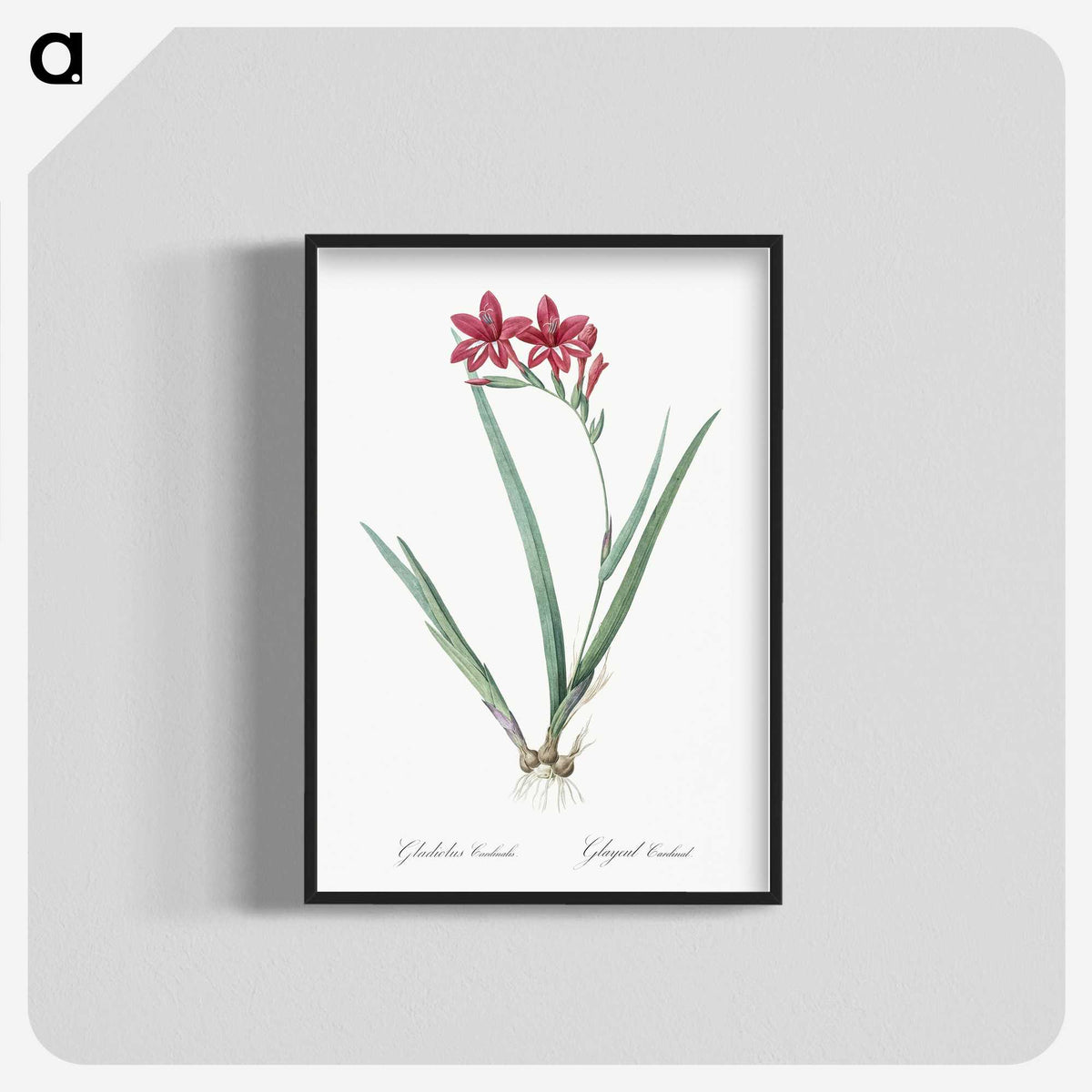 2-2_The-Lilies_blk-crop