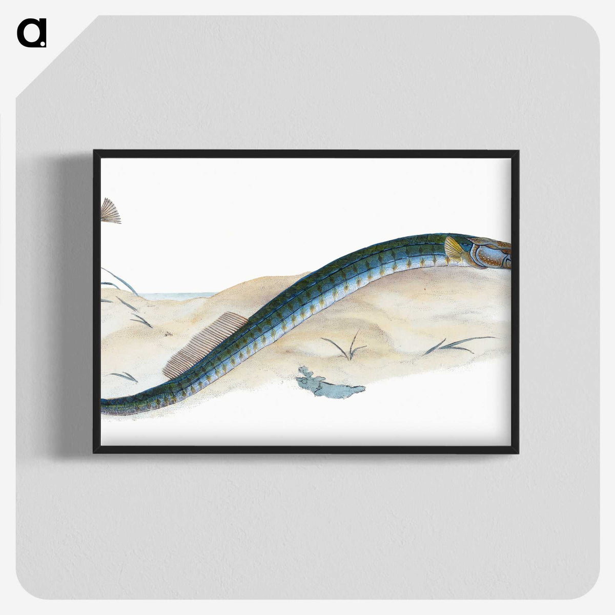 2-2_The-Natural-History-of-British-Fishes_blk-crop